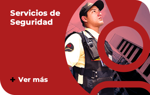 Seguridad y Vigilancia Privada