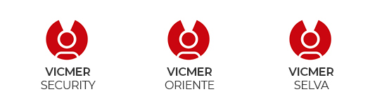 Seguridad y Vigilancia Privada